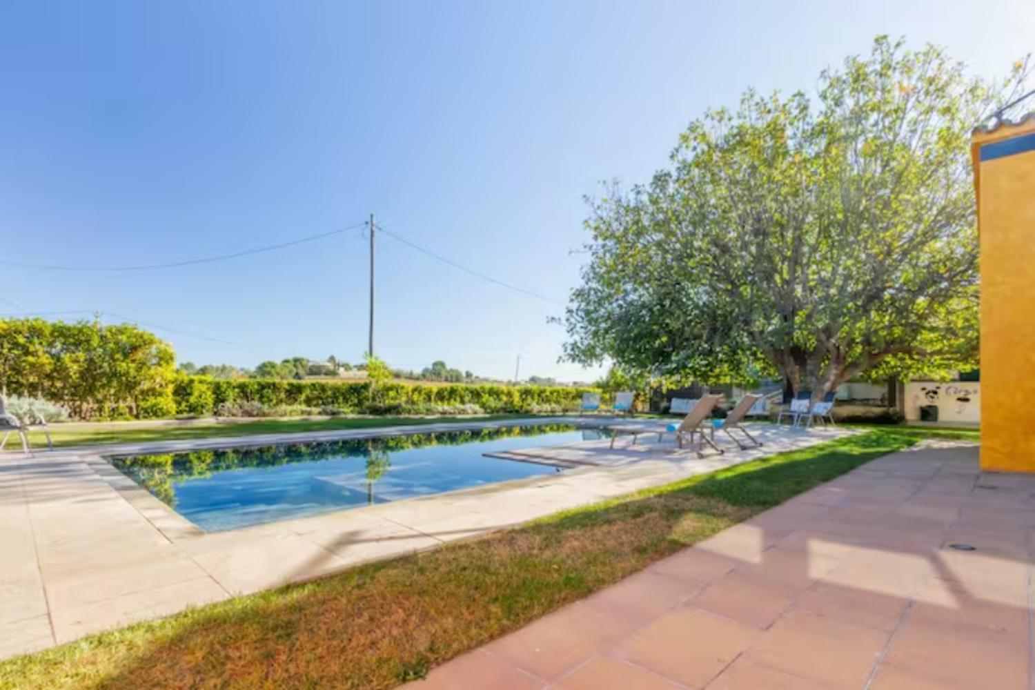Masia Cal Sisplau, Con Piscina Y Rodeada De Vinedos A 10 Minutos De Vilafranca Del Penedes, Barcelona ,Cataluna San Martín Sarroca Esterno foto